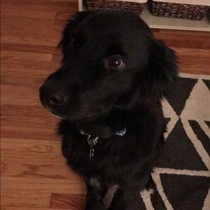 Meet your Posher, Ana